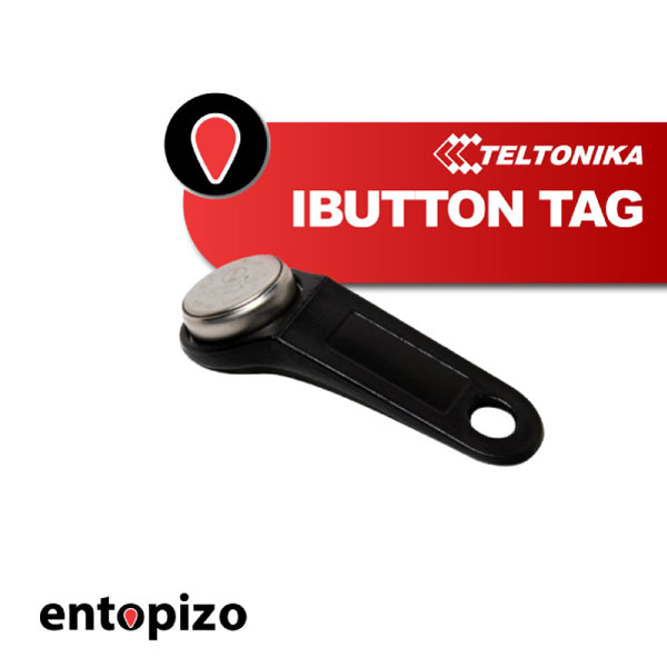 Ετικέτα iButton