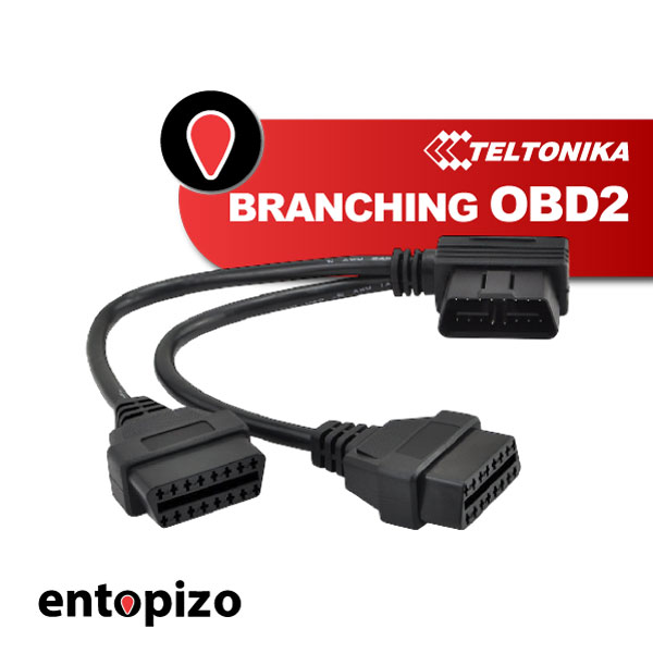 ΔΙΑΚΛΑΔΩΣΗ OBD2