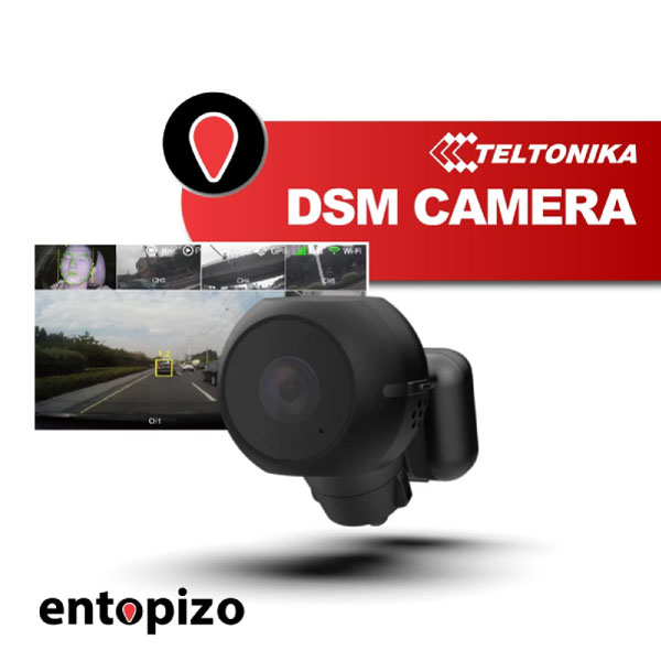 Κάμερα Teltonika DSM