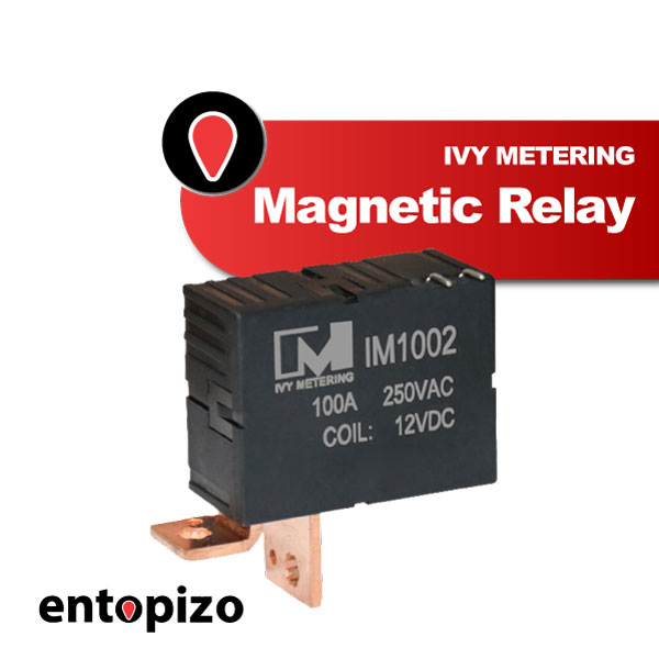 IM1002 Μαγνητικό ρελέ, δισταθμικό, 24 V DC, 100 A (2 ακίδες)